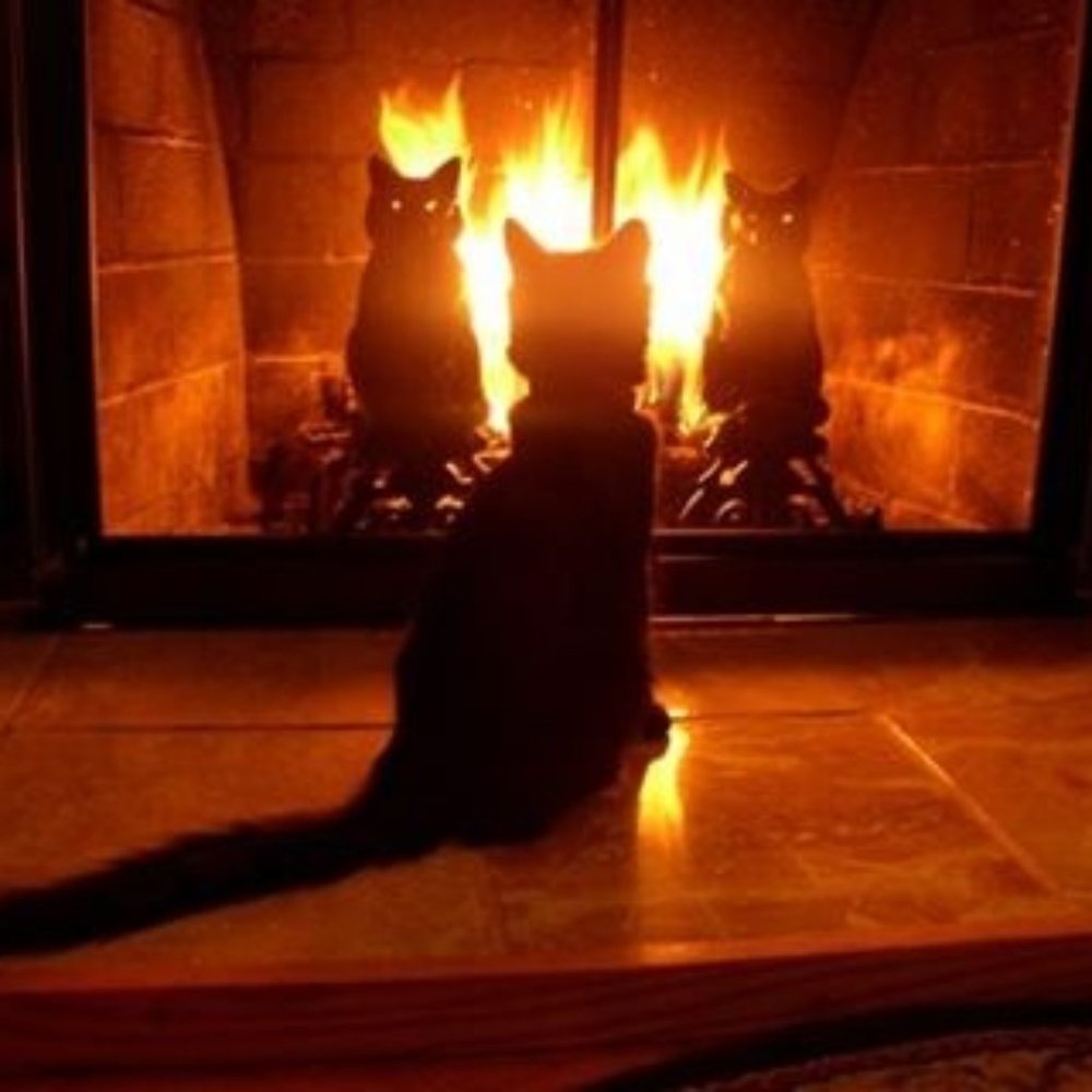 Meet your Posher, Lisa- Welcome